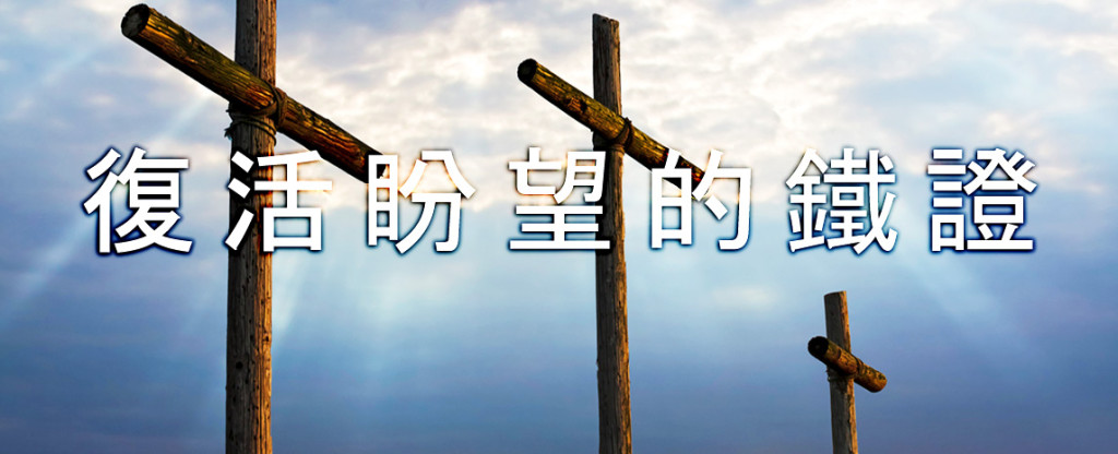 Christmas banners 2014